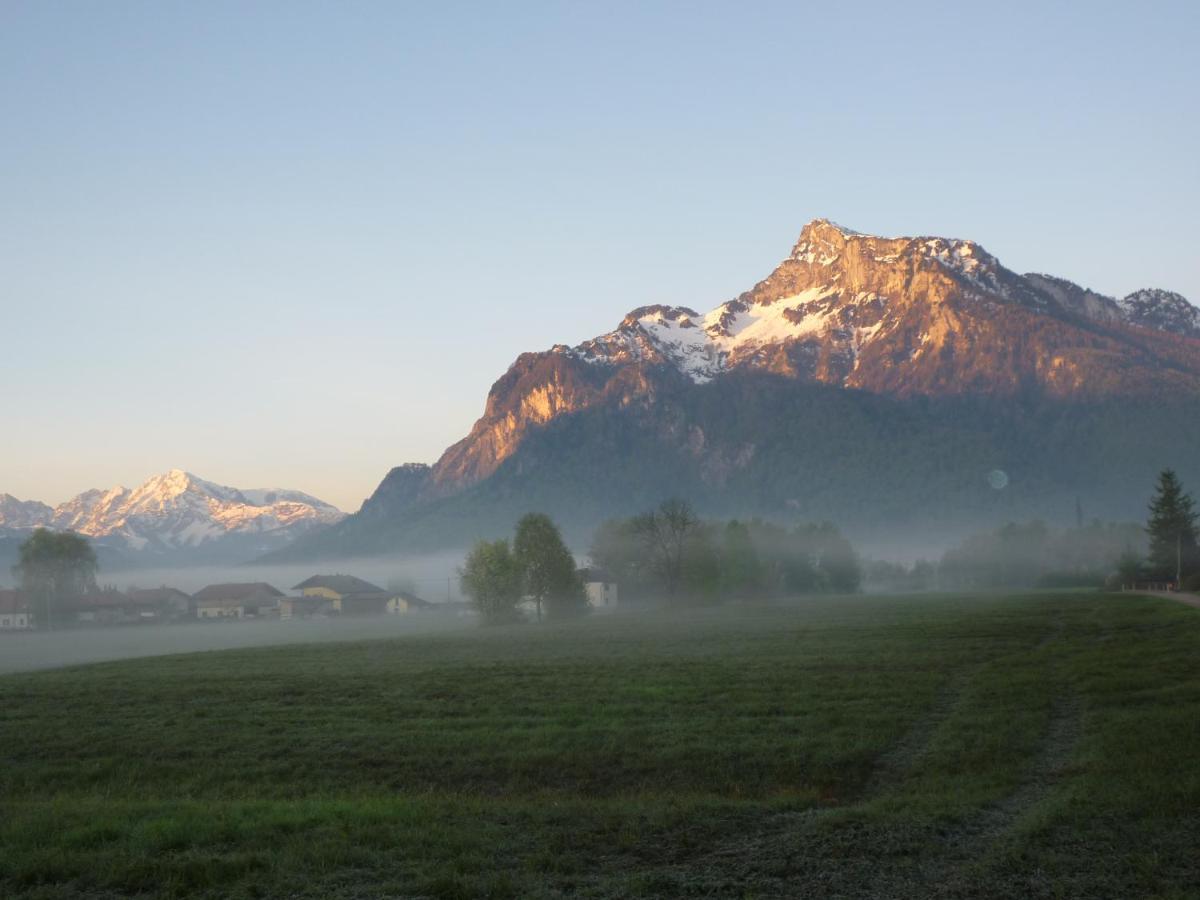 Top-2 Zimmer Ferienwohnung In Salzburg Mit Terrasse Εξωτερικό φωτογραφία